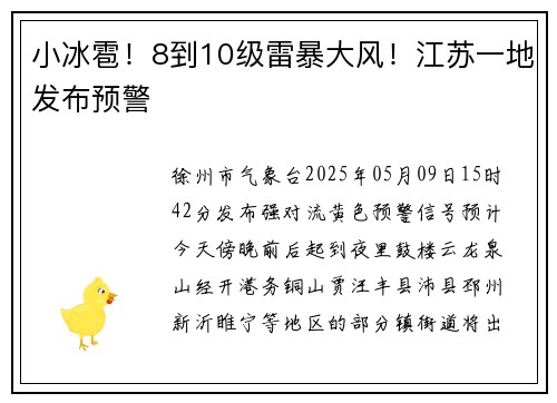小冰雹！8到10级雷暴大风！江苏一地发布预警