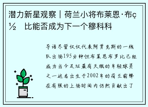 潜力新星观察｜荷兰小将布莱恩·布罗比能否成为下一个穆科科