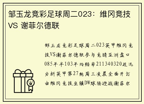 邹玉龙竞彩足球周二023：维冈竞技 VS 谢菲尔德联